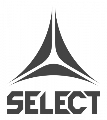 Logo SELECT