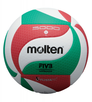 Ballon de Volley MOLTEN V5M5000