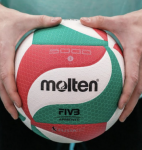 Volley-ball