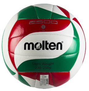 Ballon de Volley MOLTEN VM2500