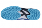 MIZUNO Wave Panthera 2024/25 Bleu