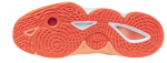 Mizuno Wave Momentum Elite