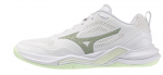 Mizuno Wave Stealth Pro