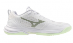 Mizuno Wave Stealth Pro
