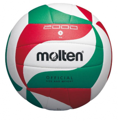 MOLTEN Ballon de Volley V5M2000